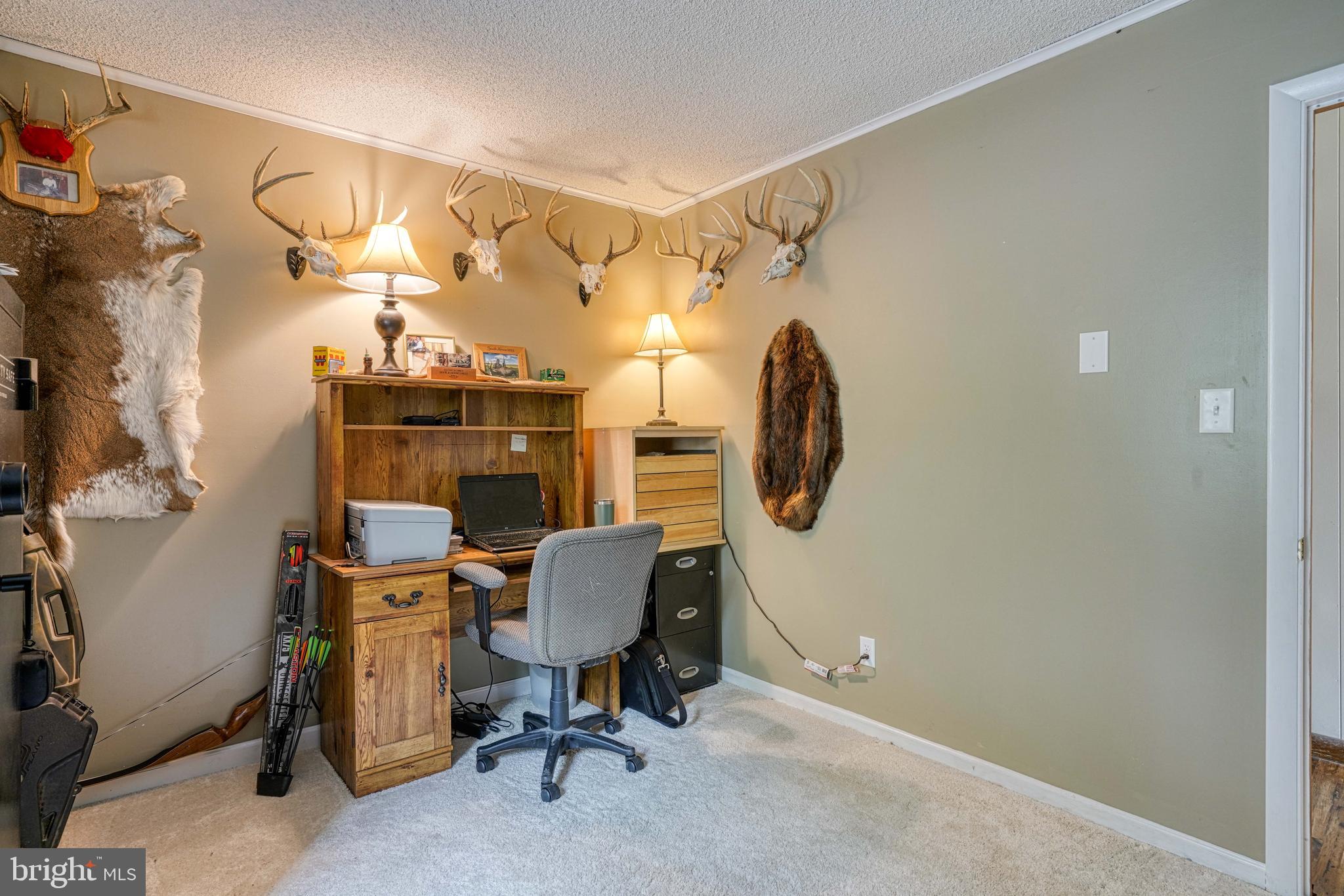 13023 MASON BRANCH ROAD