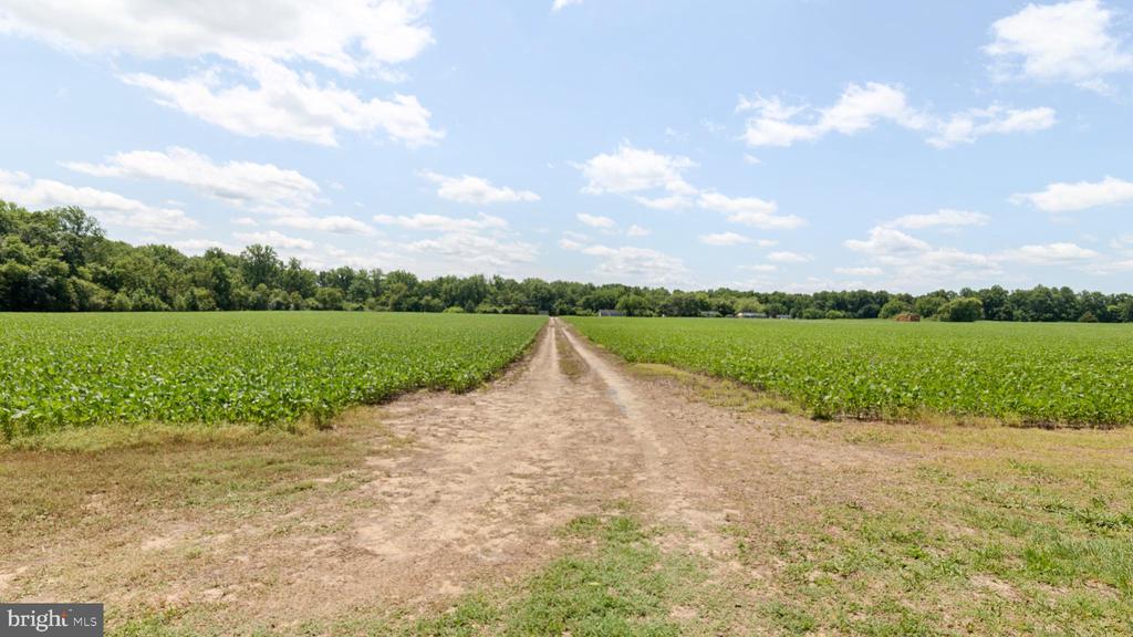 22446 MARSH CREEK ROAD