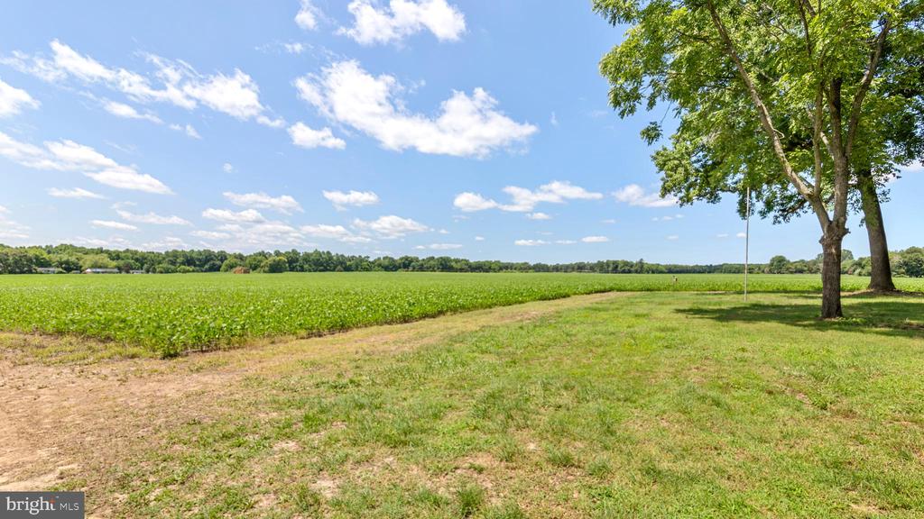 22446 MARSH CREEK ROAD