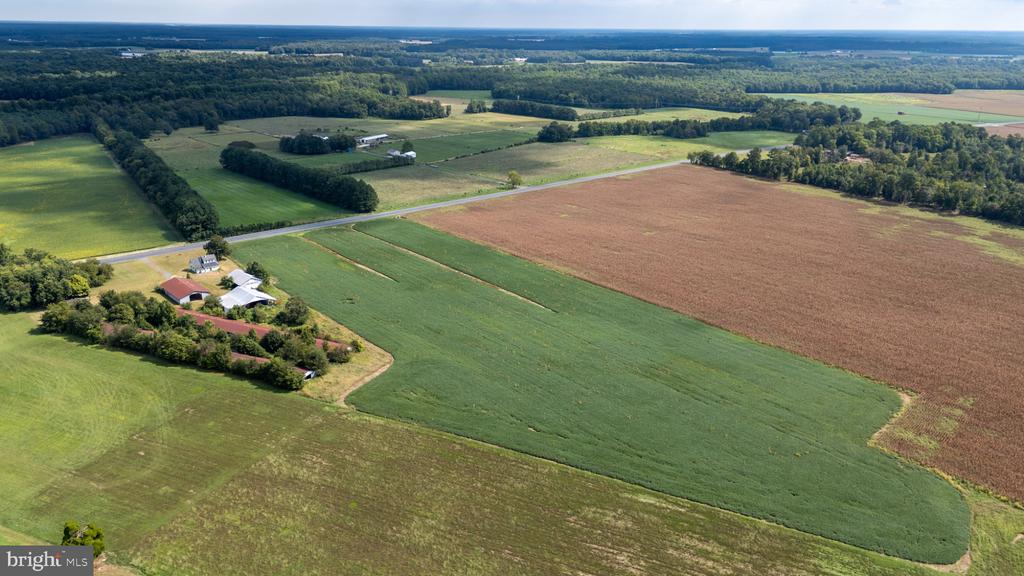 25699 AUCTION ROAD