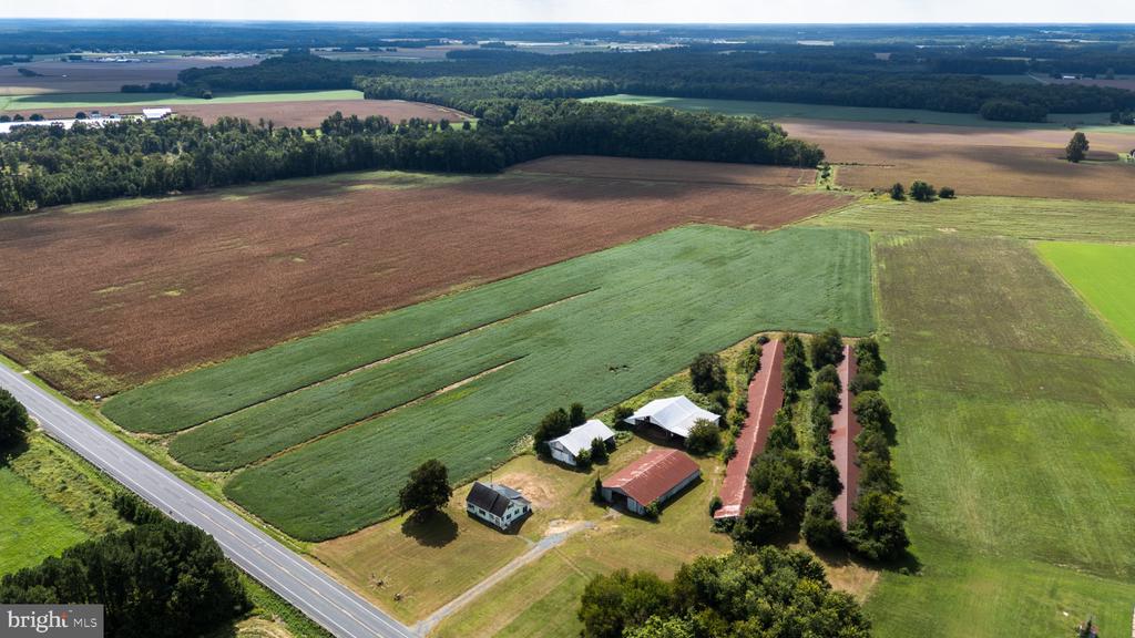 25699 AUCTION ROAD