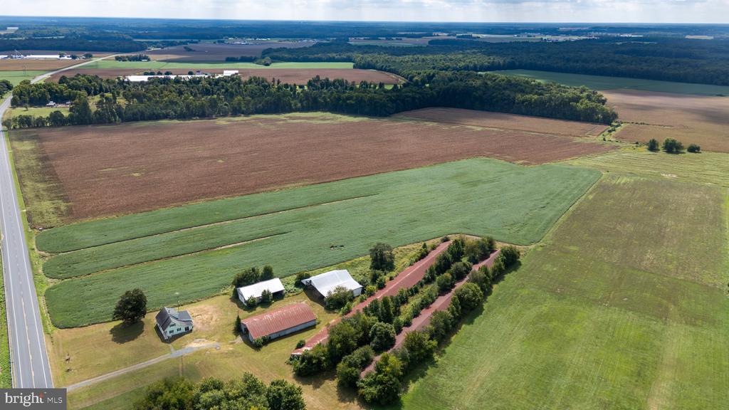 25699 AUCTION ROAD