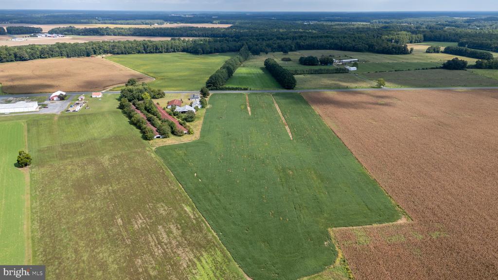 25699 AUCTION ROAD