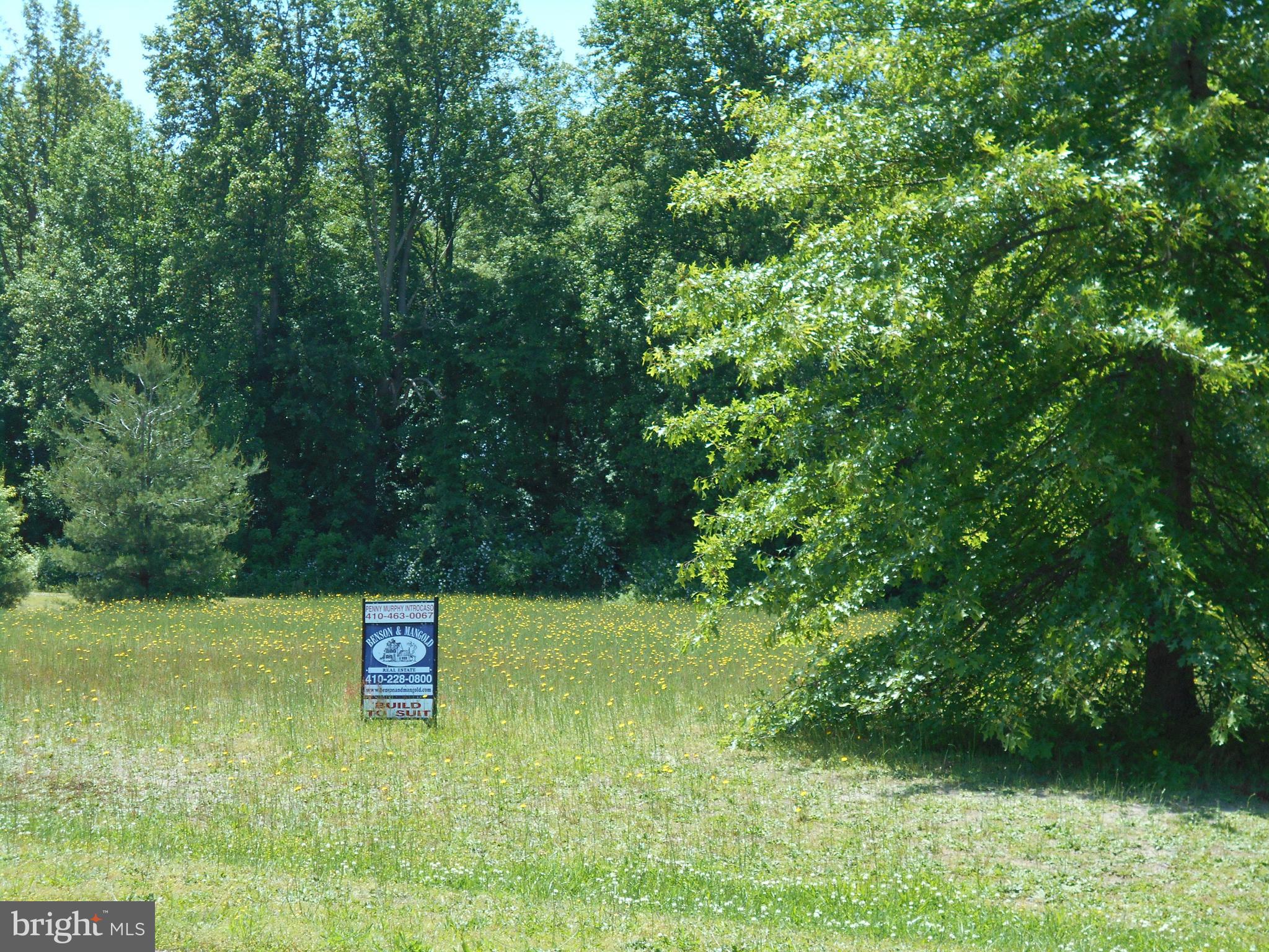 Solomons Cir