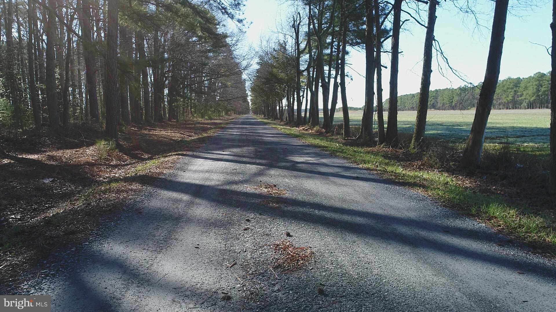 Town Point Rd S
