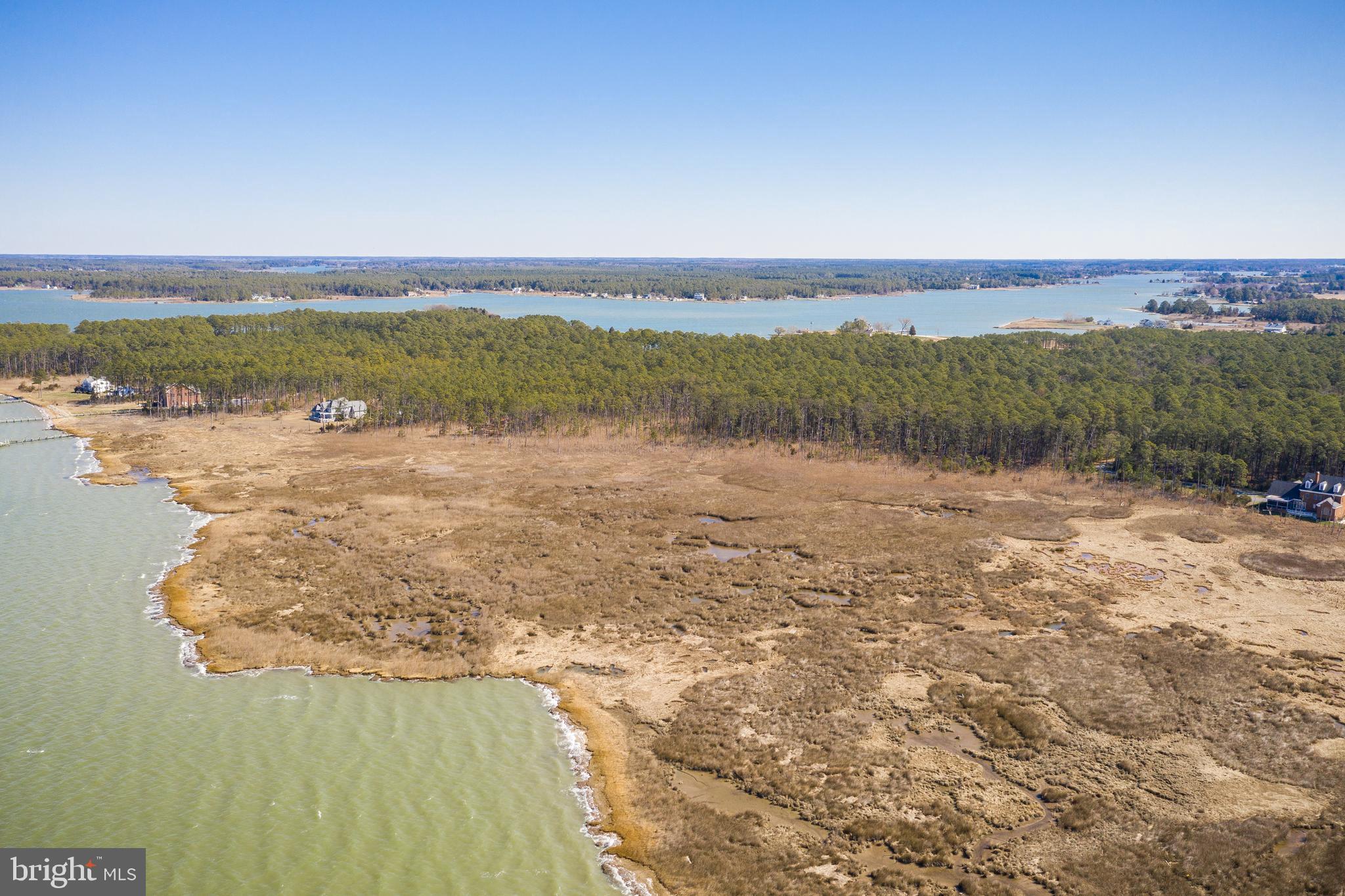 4926 Timbermarsh Ln