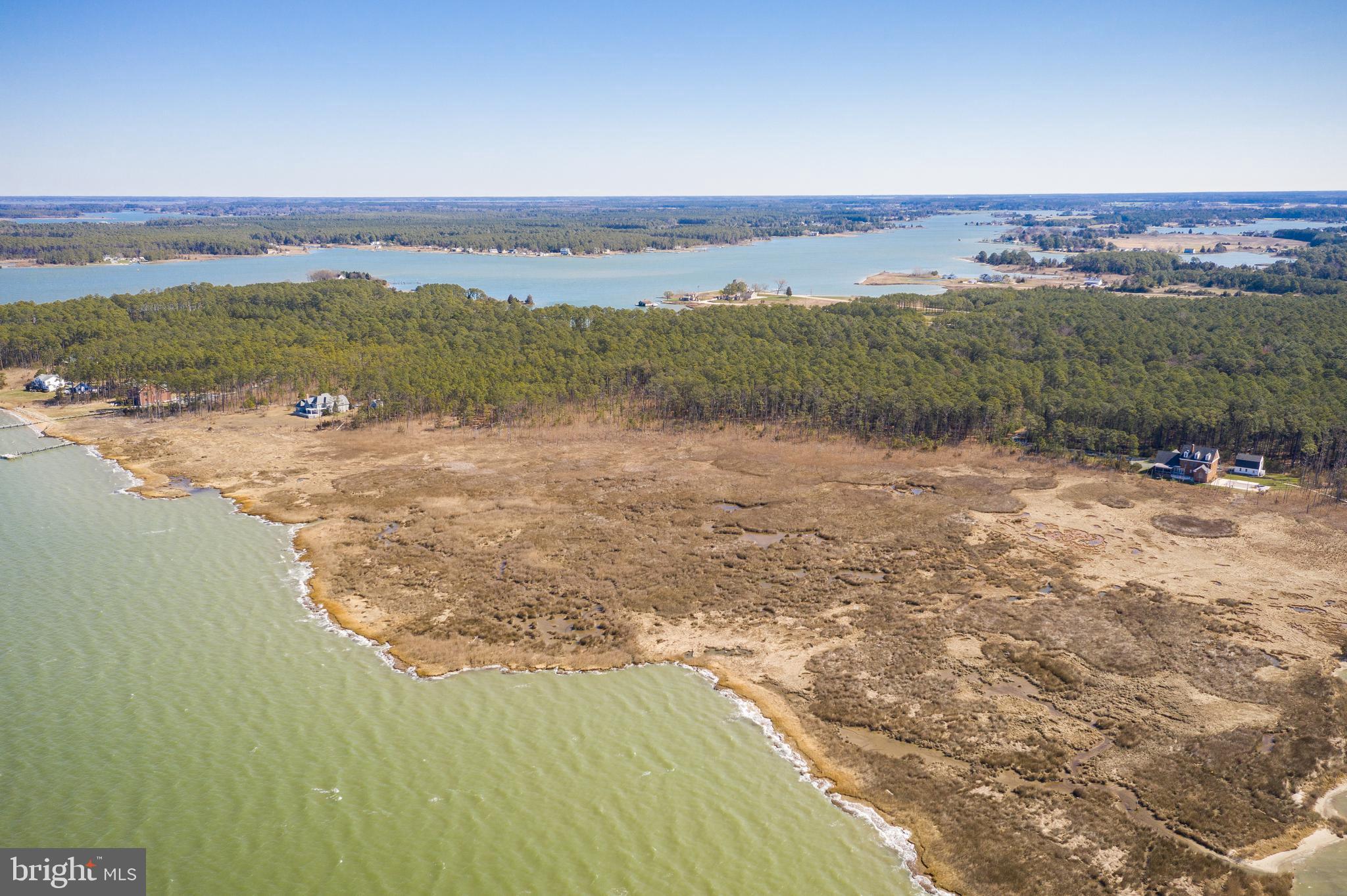4926 Timbermarsh Ln