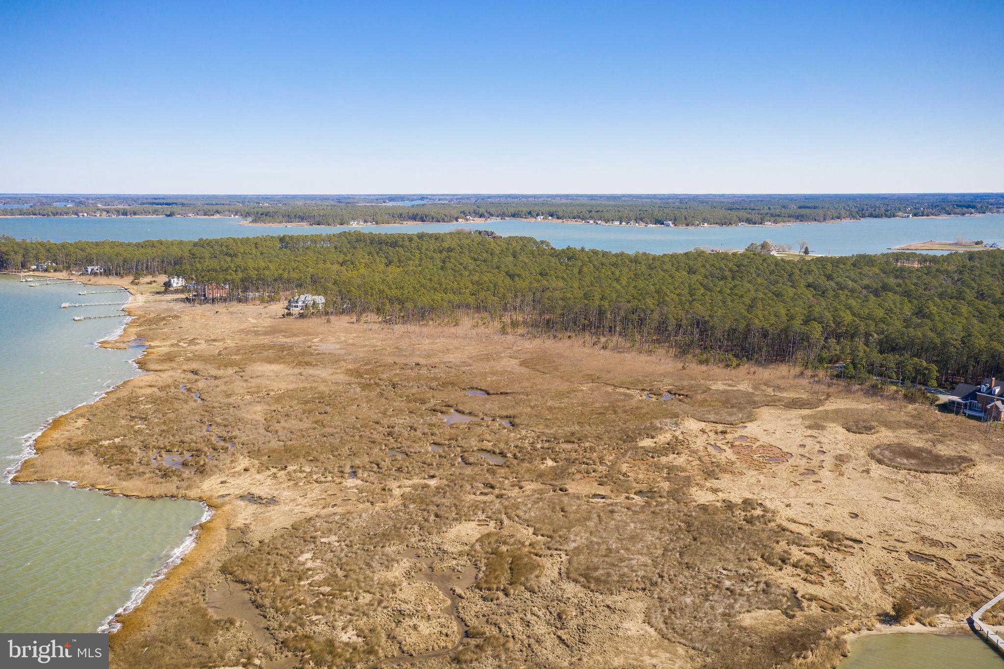 4926 Timbermarsh Ln