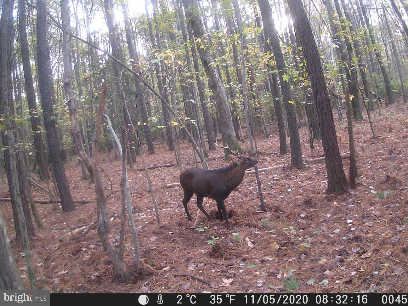 0000 S Beaver Neck Village Rd