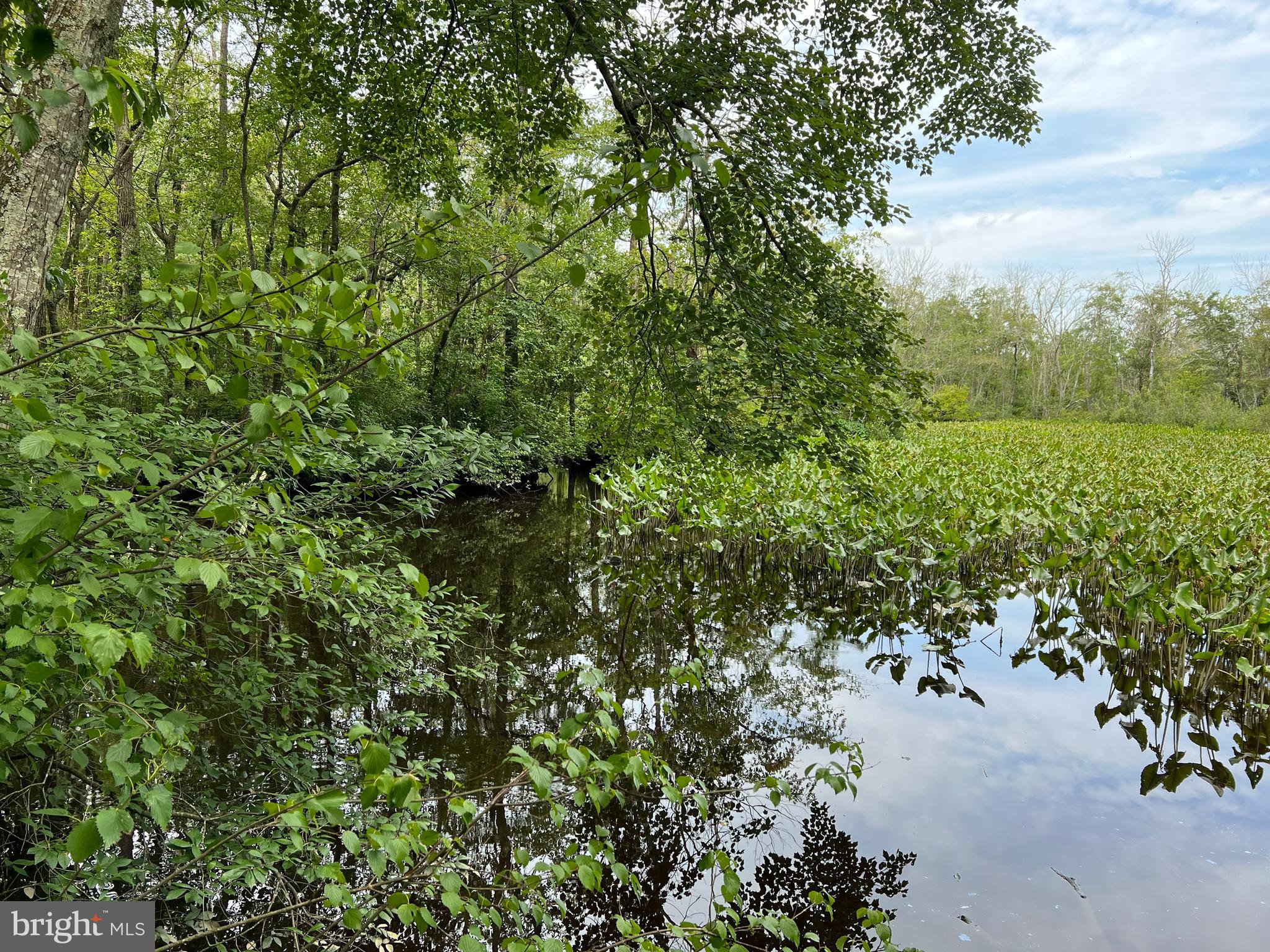 5106 Harrison Ferry Rd