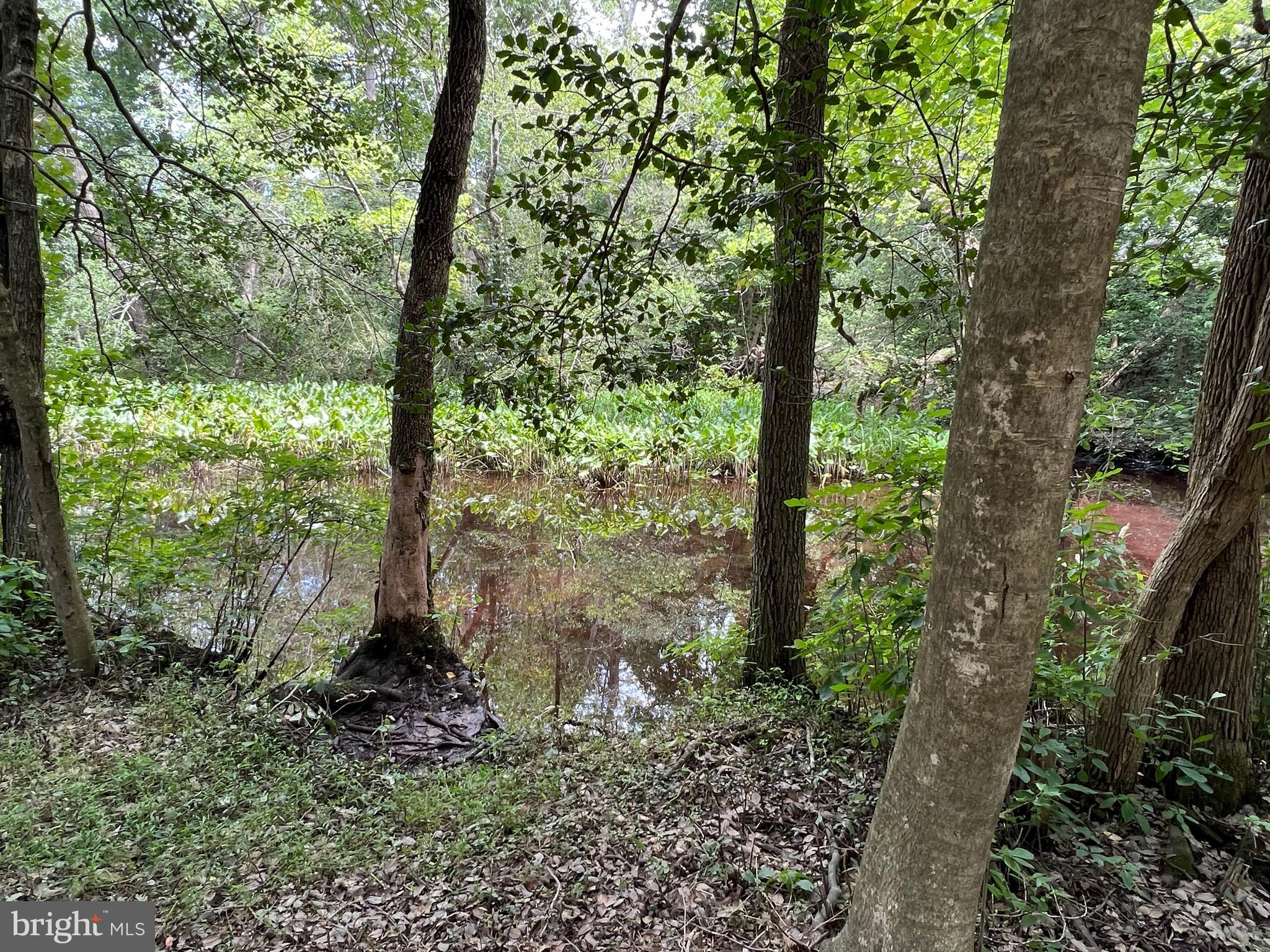 5106 Harrison Ferry Rd