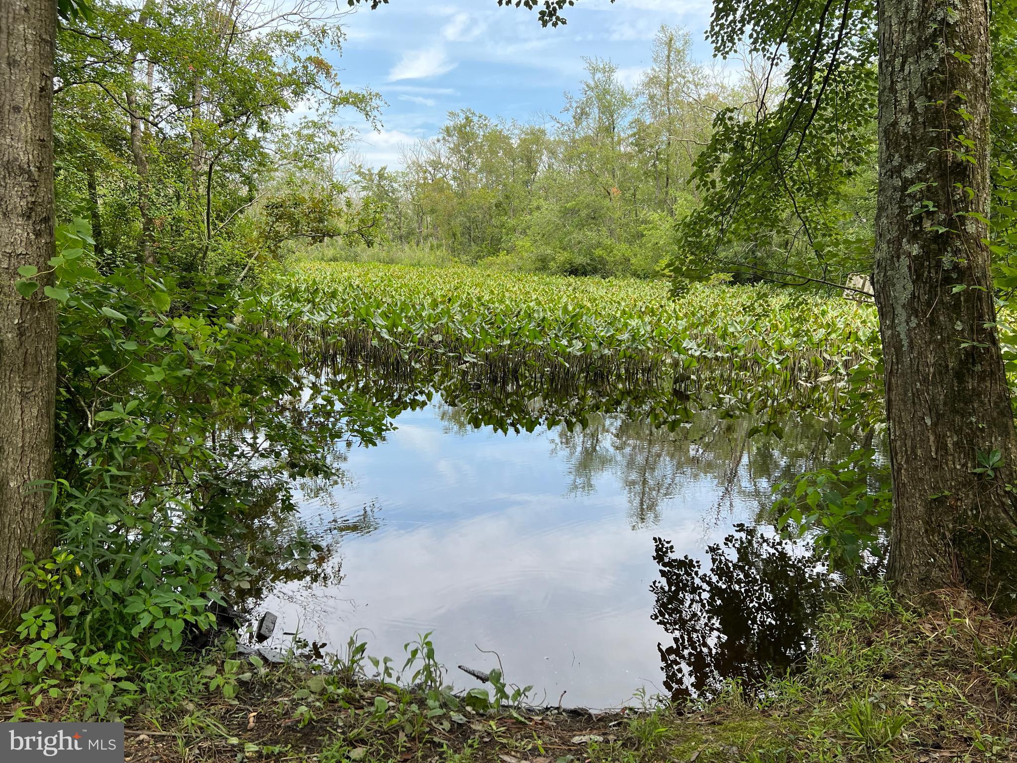 5106 Harrison Ferry Rd