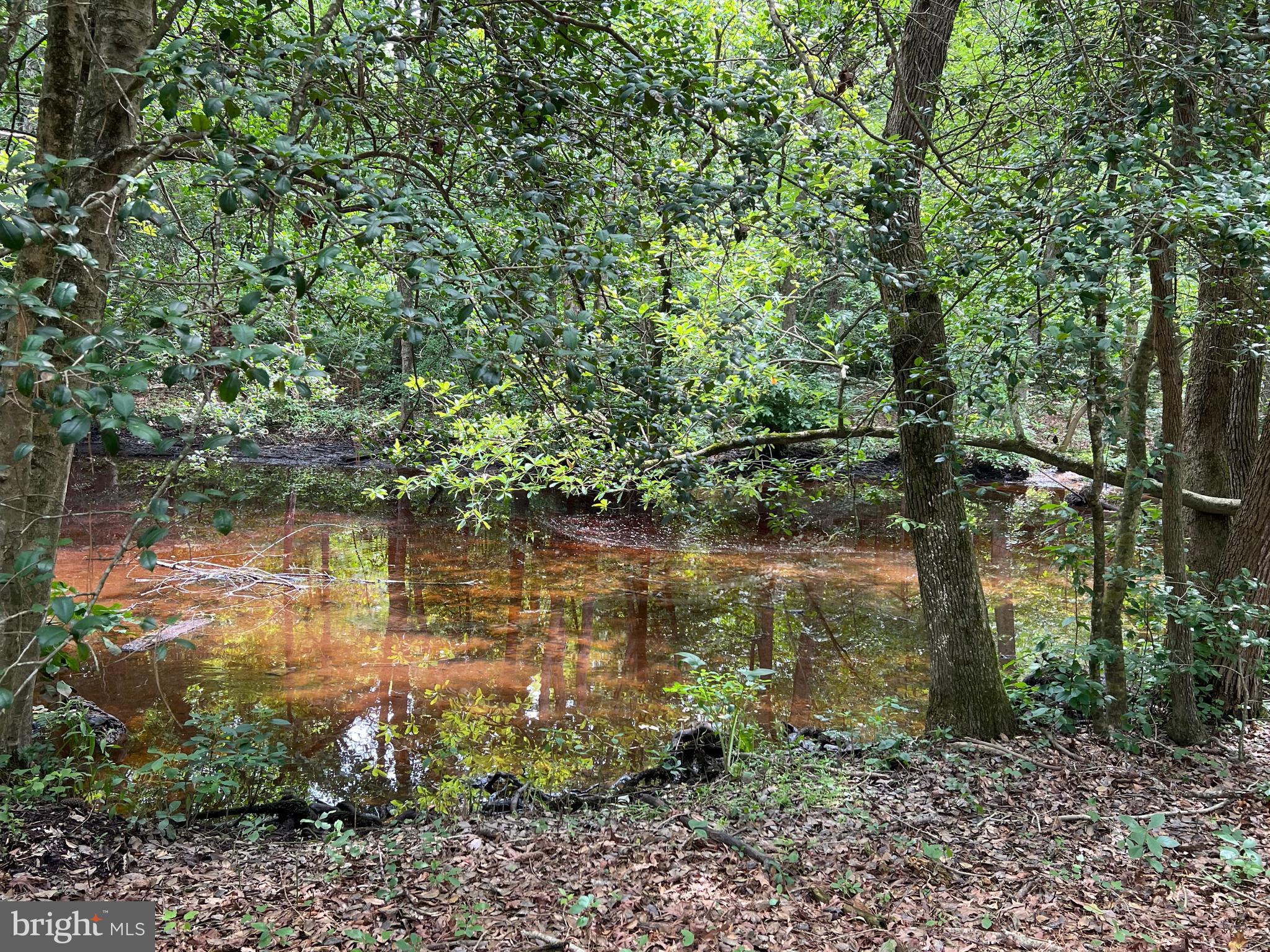 5106 Harrison Ferry Rd