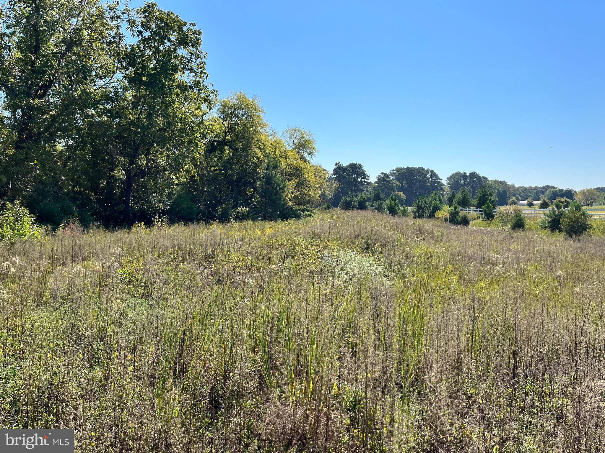 Great Oaks Rd