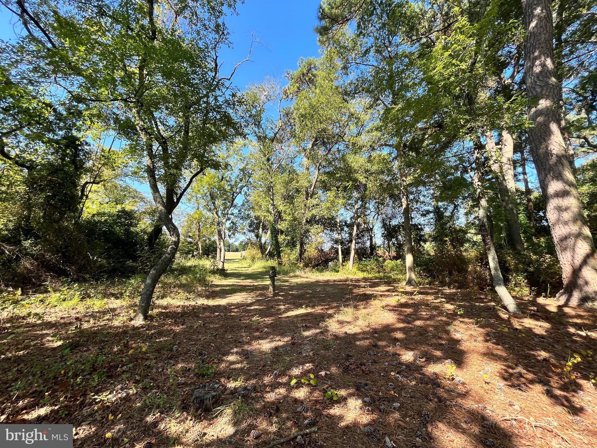 Great Oaks Rd