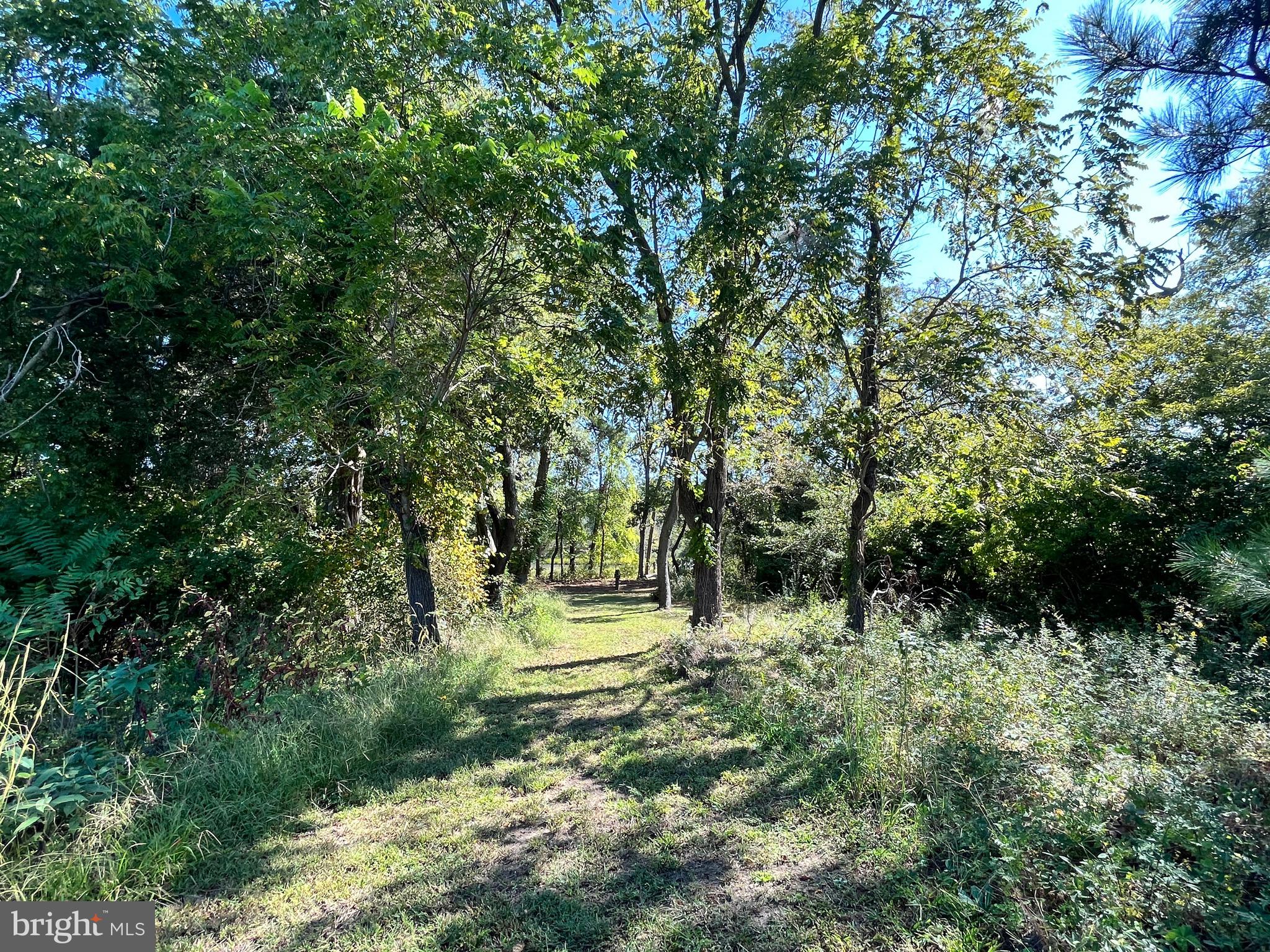 Great Oaks Rd