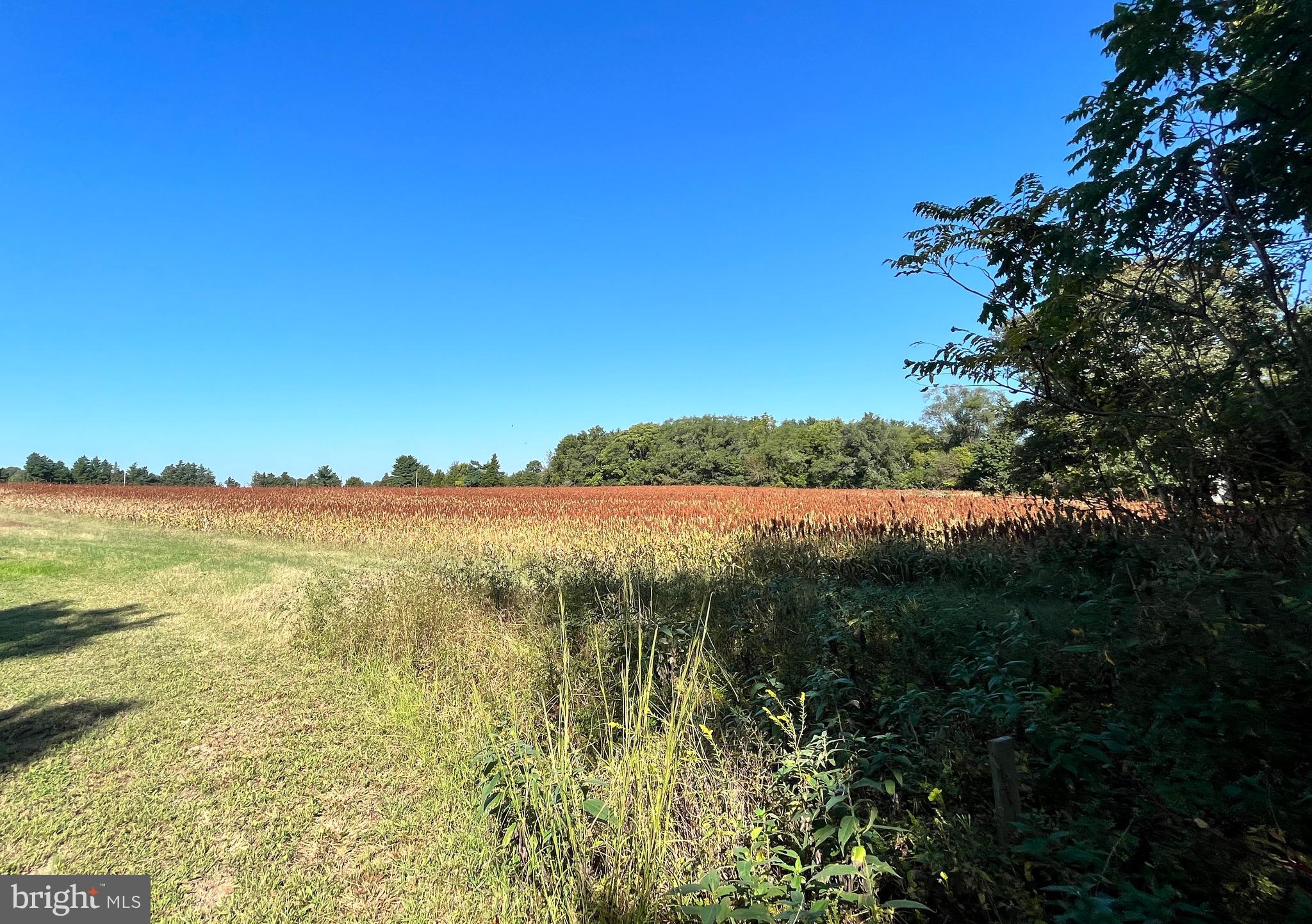 Great Oaks Rd