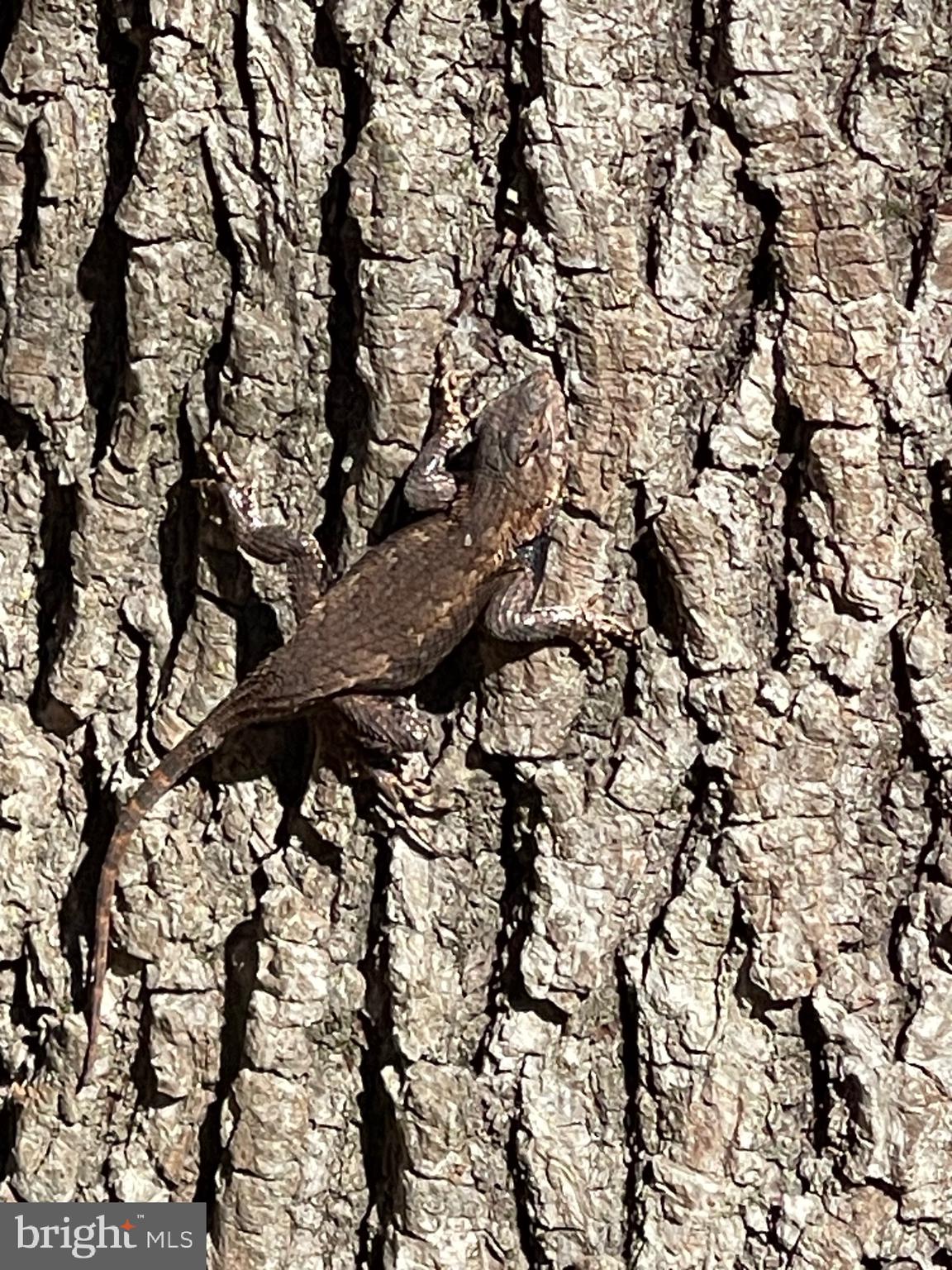 5953 Palmers Mill Rd