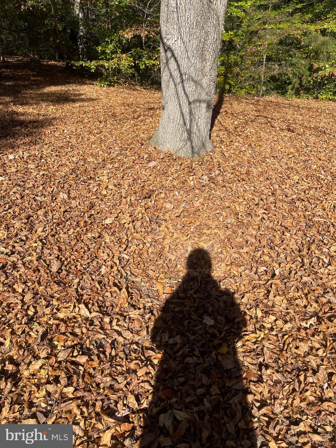 5953 Palmers Mill Rd