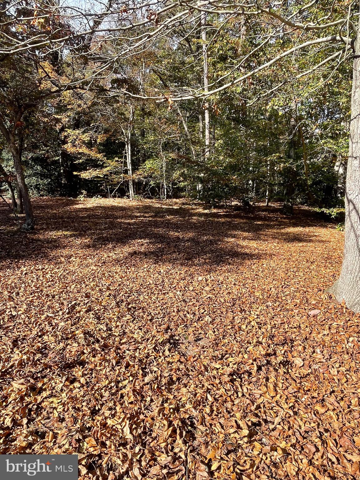 5953 Palmers Mill Rd