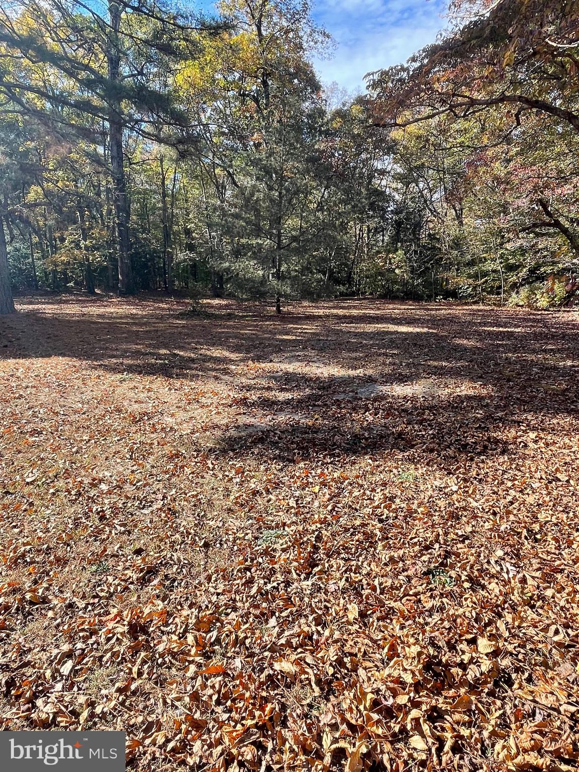 5953 Palmers Mill Rd