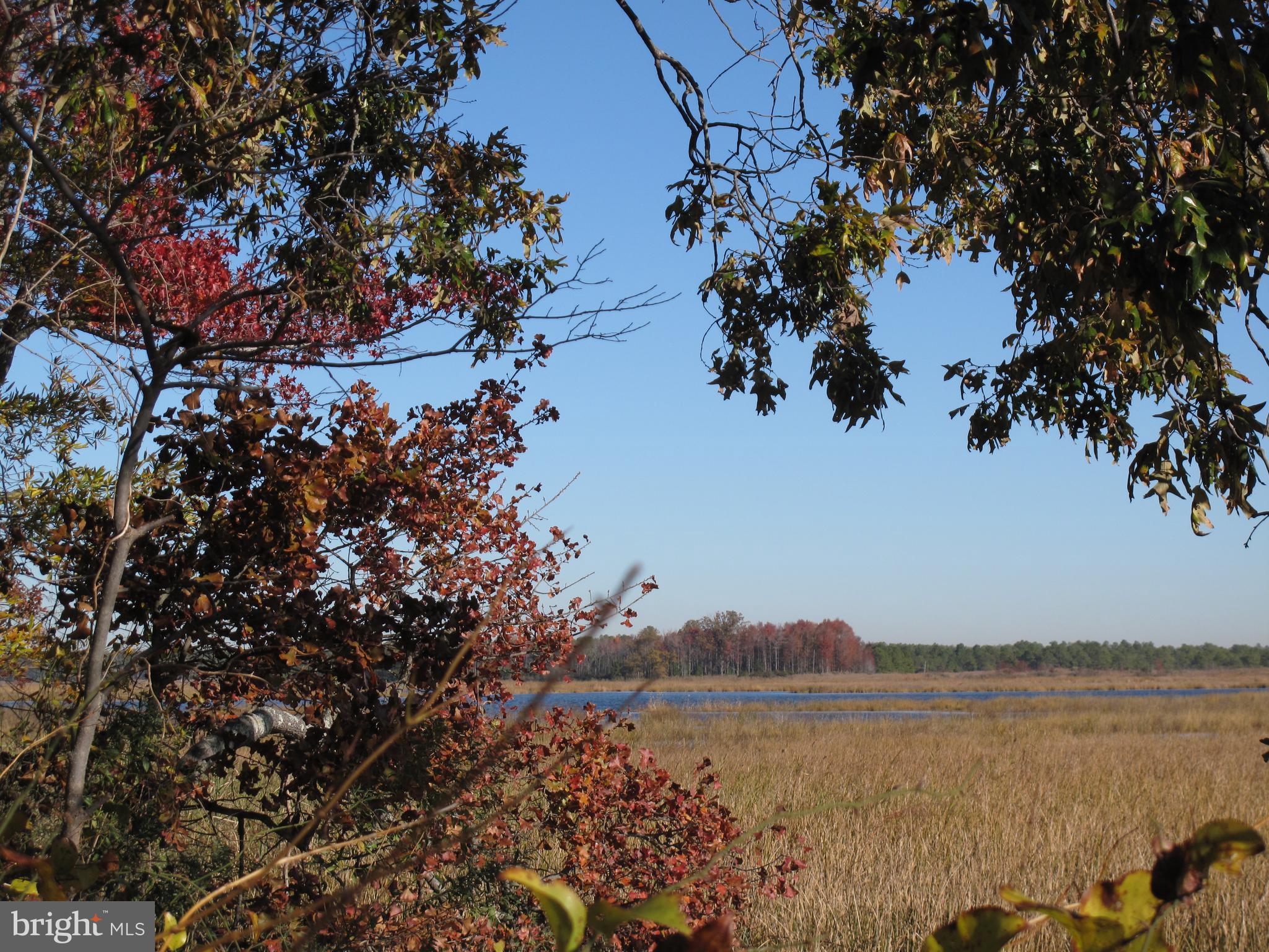 3754 Griffith Neck Rd