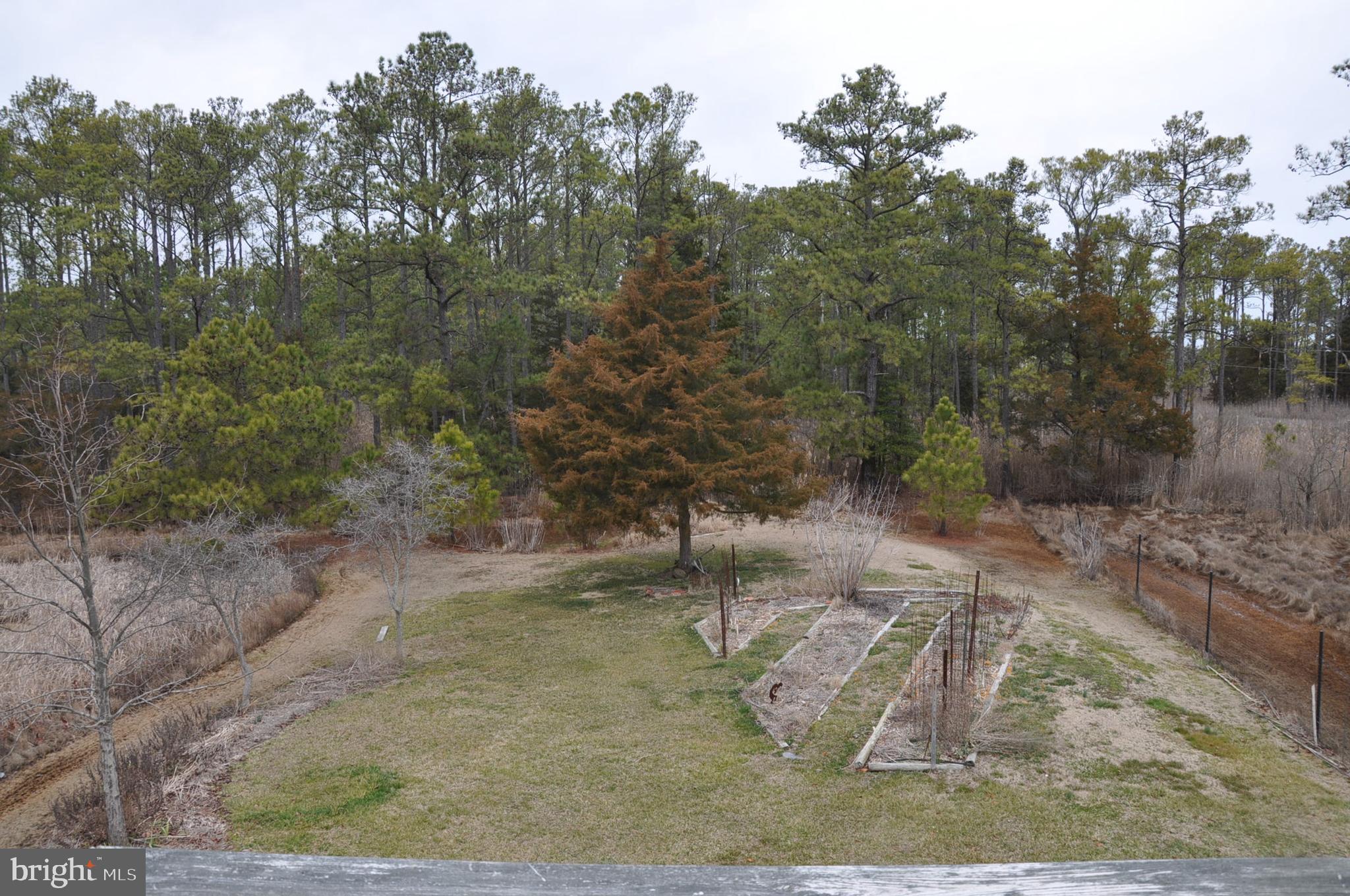 2904 Goose Creek Road