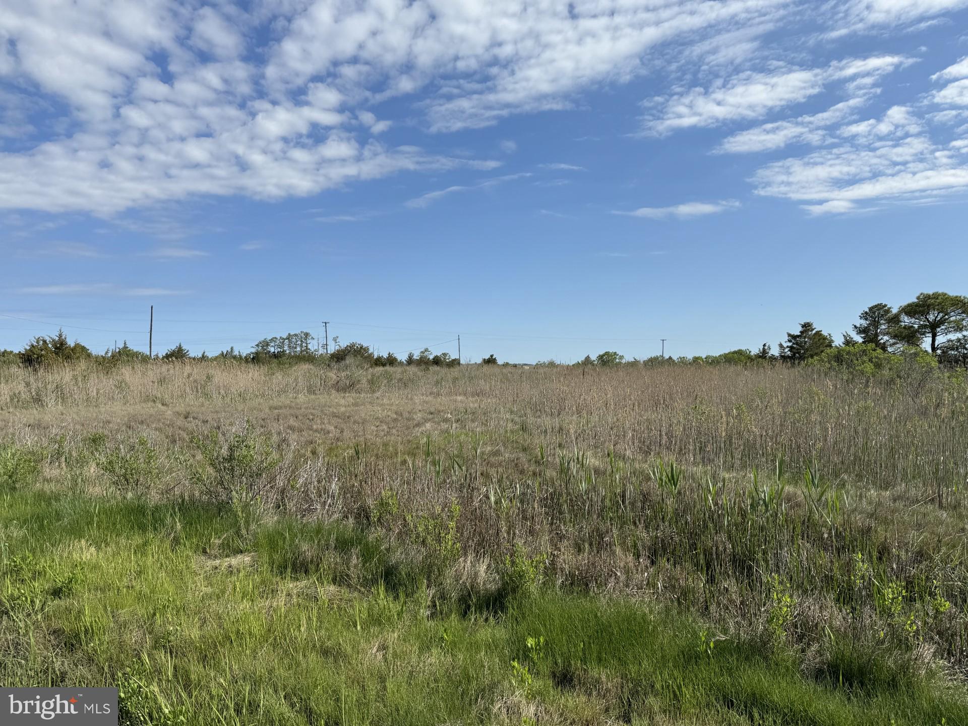 Farm Creek