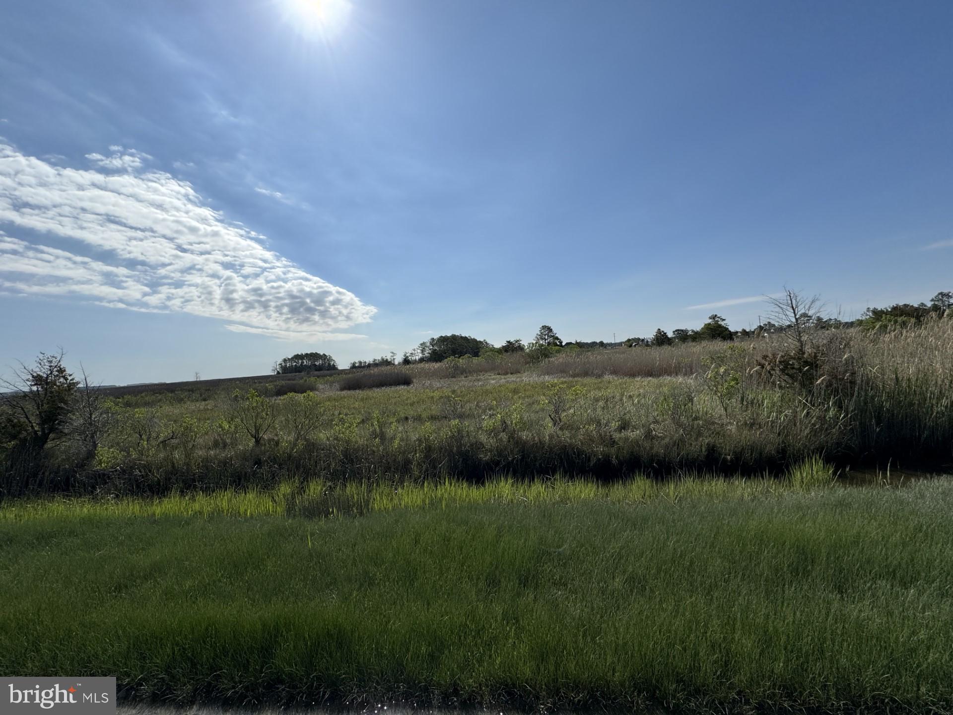 Farm Creek