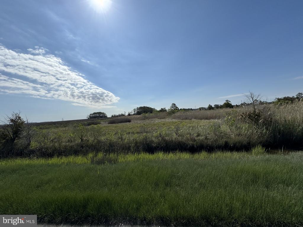Farm Creek