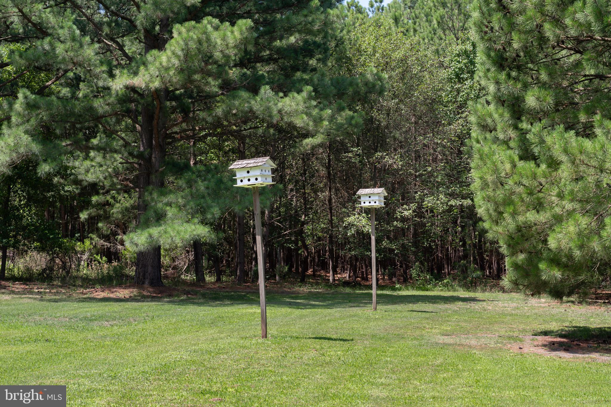 612 Hills Point Rd