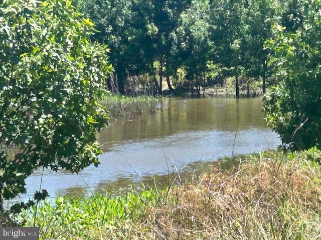 3865 Decoursey Bridge Rd