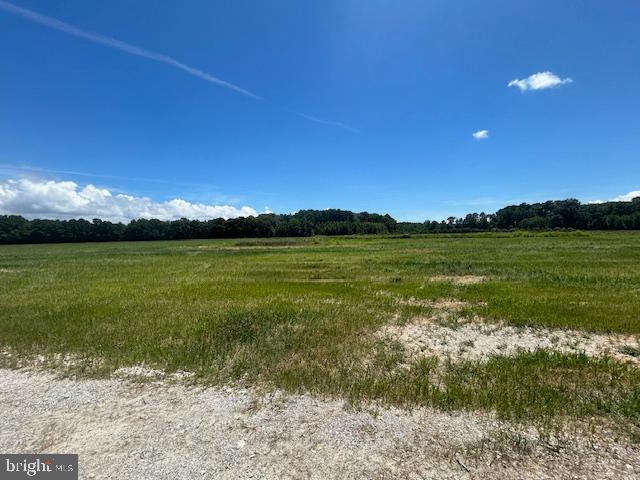 3865 Decoursey Bridge Rd