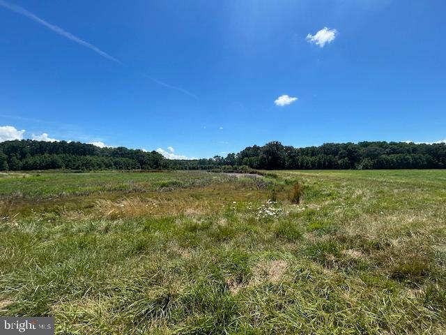 3865 Decoursey Bridge Rd