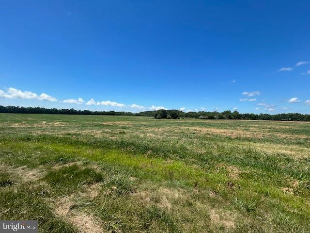 3865 Decoursey Bridge Rd