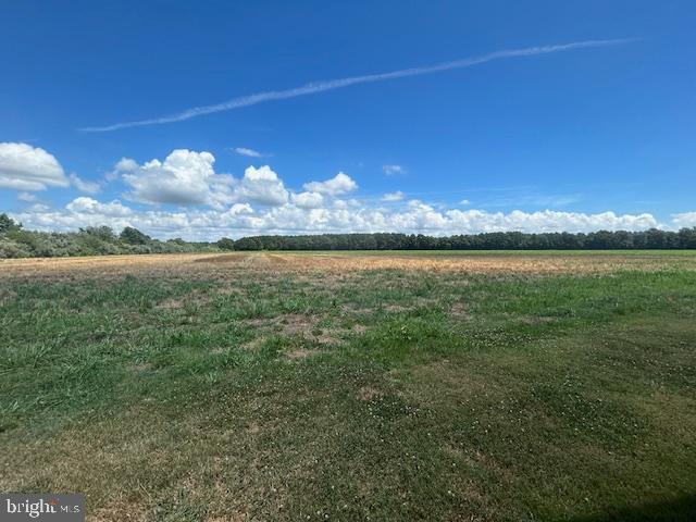 3865 Decoursey Bridge Rd