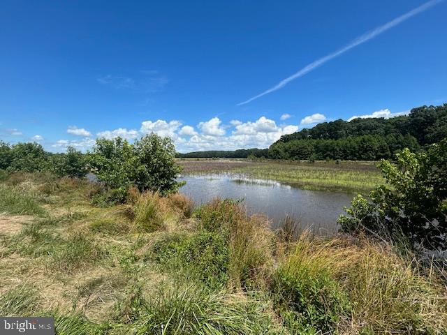 3865 Decoursey Bridge Rd