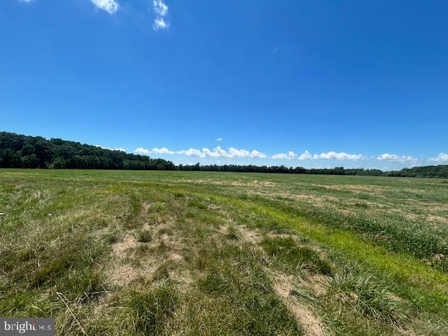 3865 Decoursey Bridge Rd