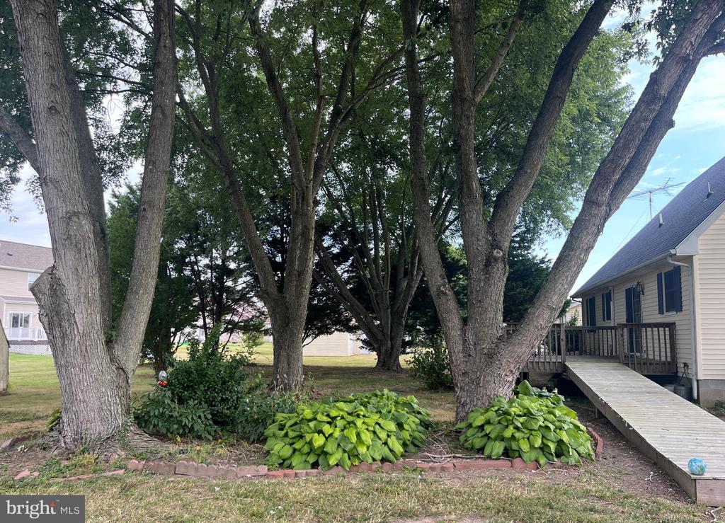 1611 Stone Boundary Rd