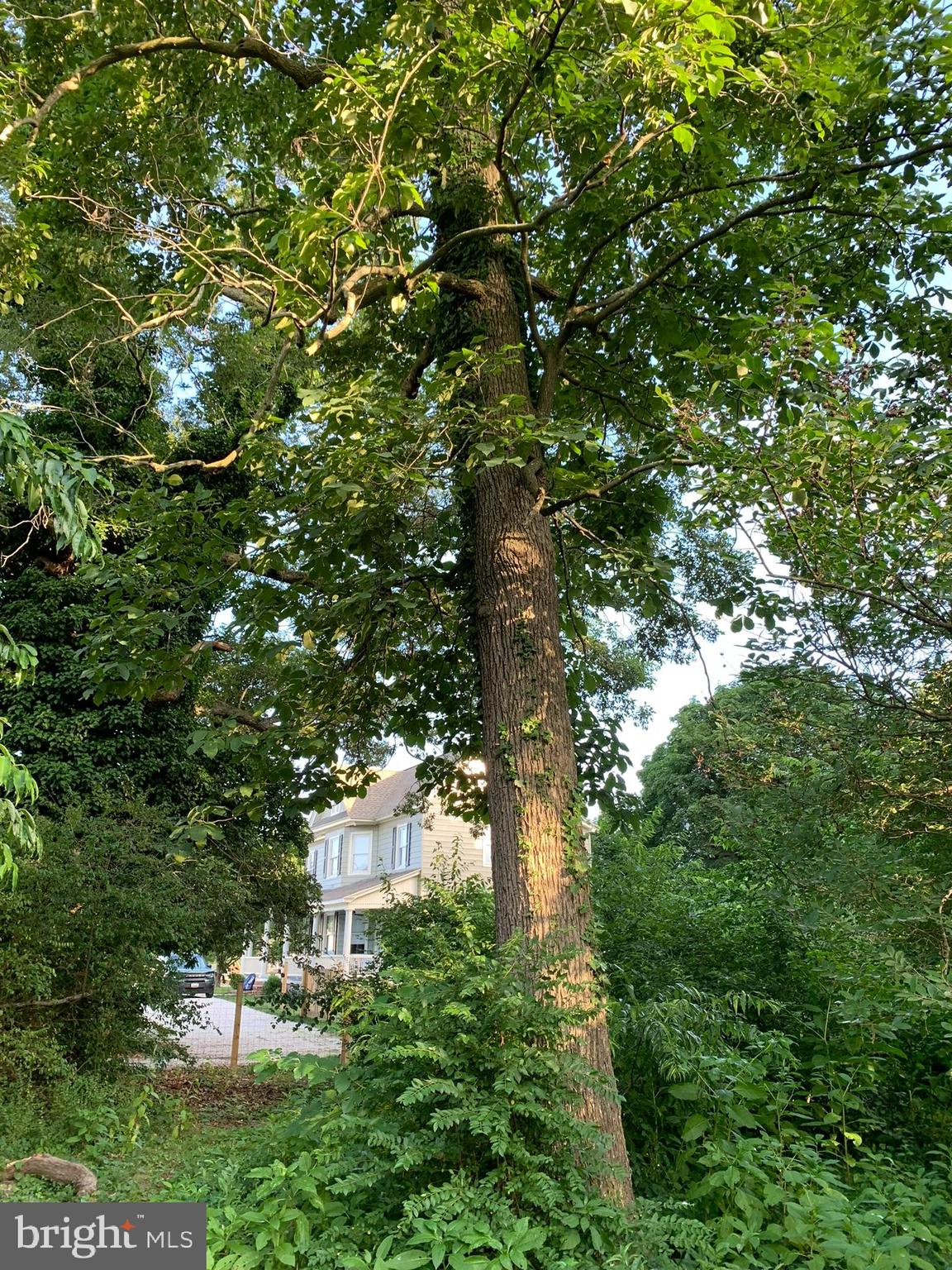 107 Poplar St