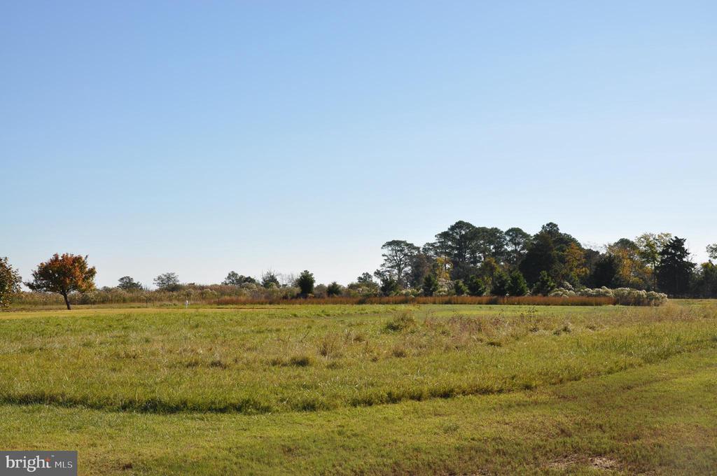 1933 E Tedious Creek Rd