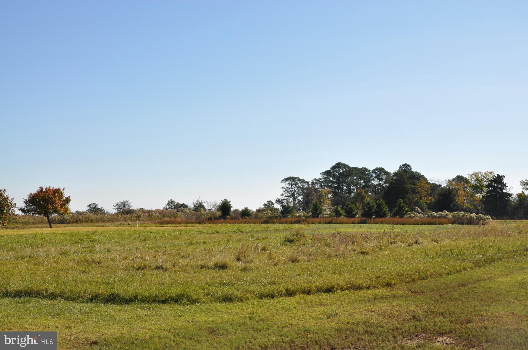 1933 E Tedious Creek Rd
