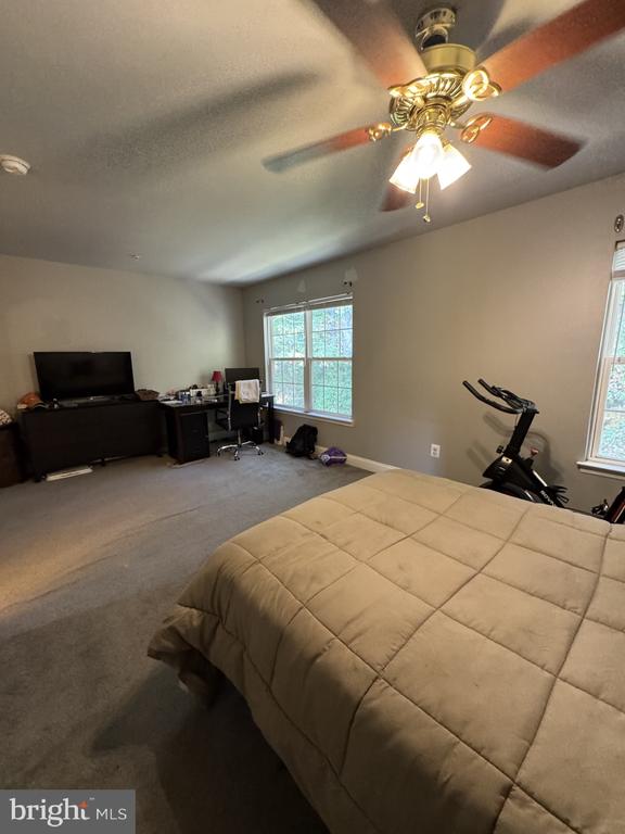 116 BLACK DUCK CT