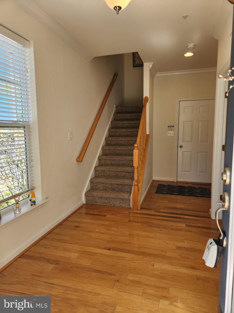 101 Sailors Ln #101