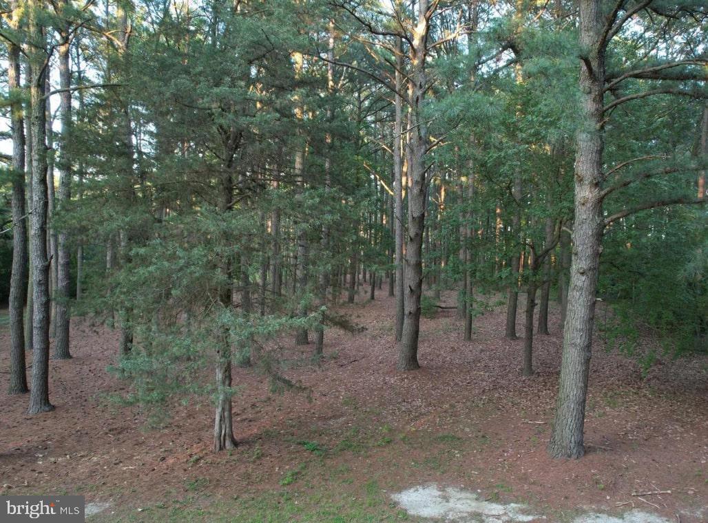 6109 Twin Point Cove Rd
