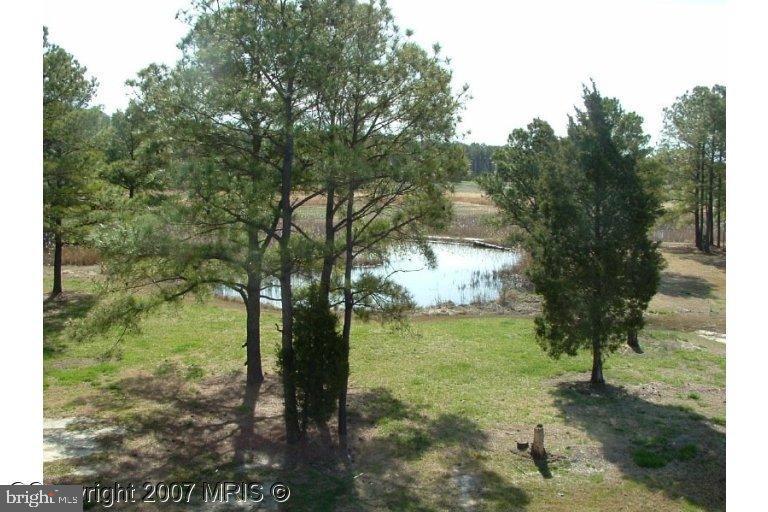 4906 Timbermarsh Ln