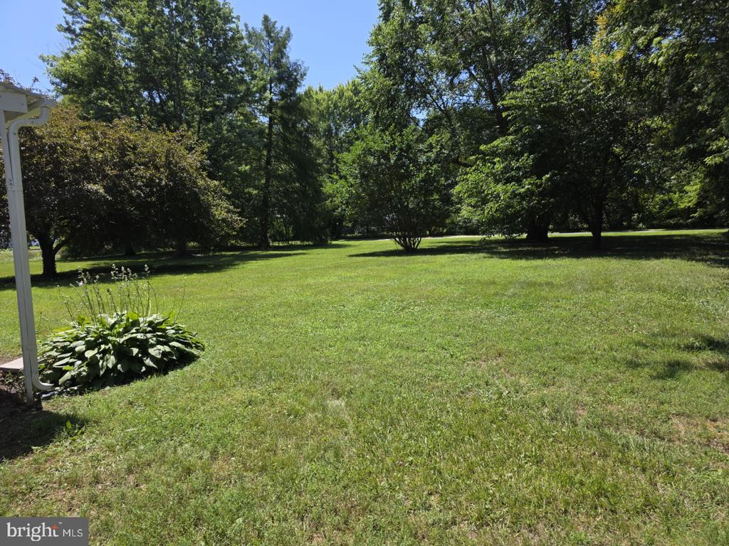 2900 CENTRAL RD