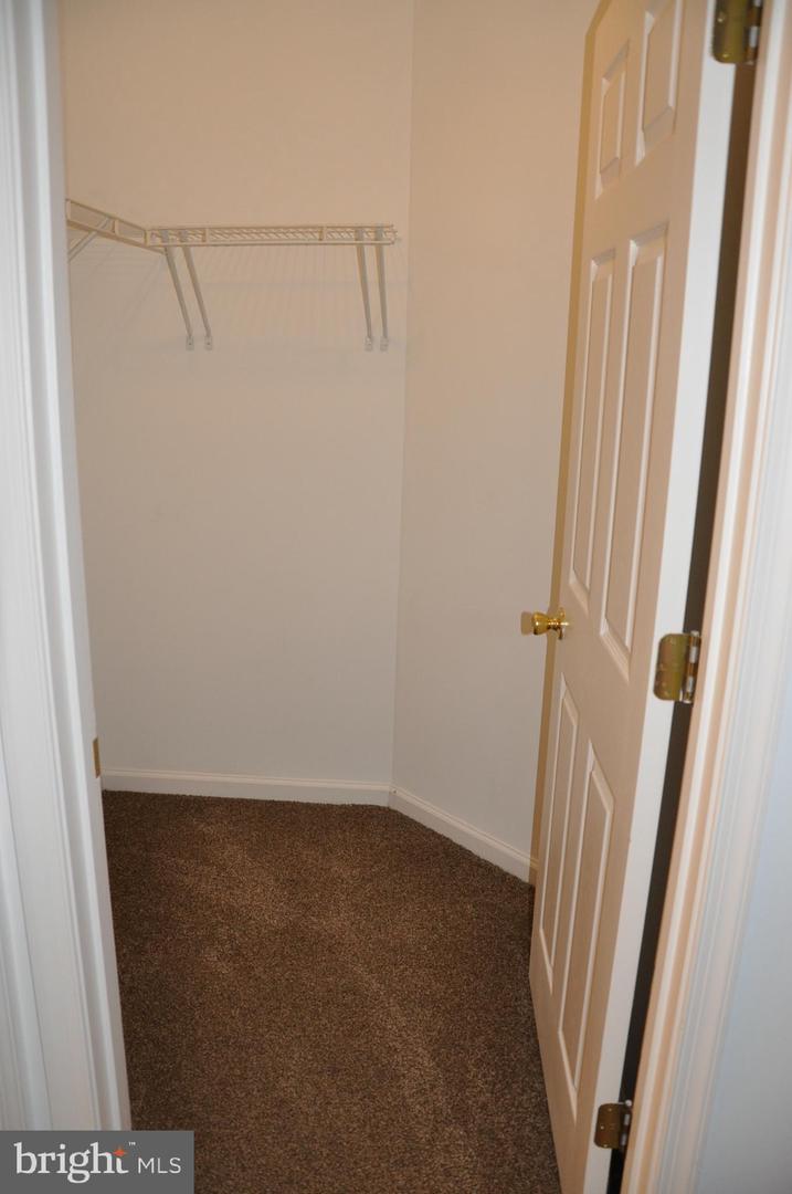 201 Canvasback Way