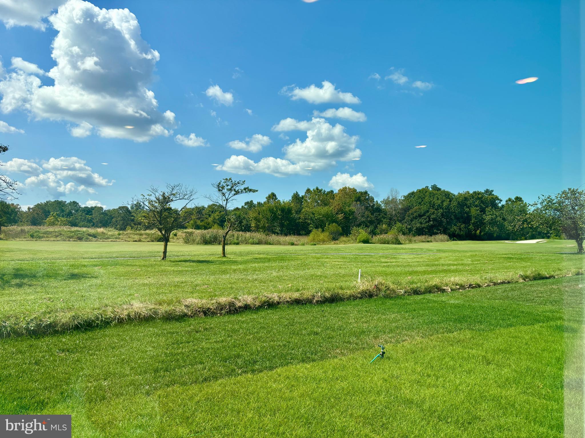 2723 MARSH ELDER DRIVE