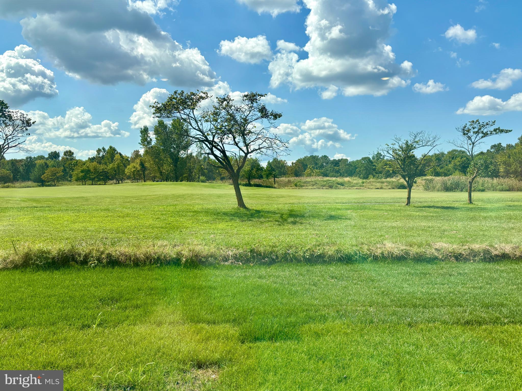 2723 MARSH ELDER DRIVE